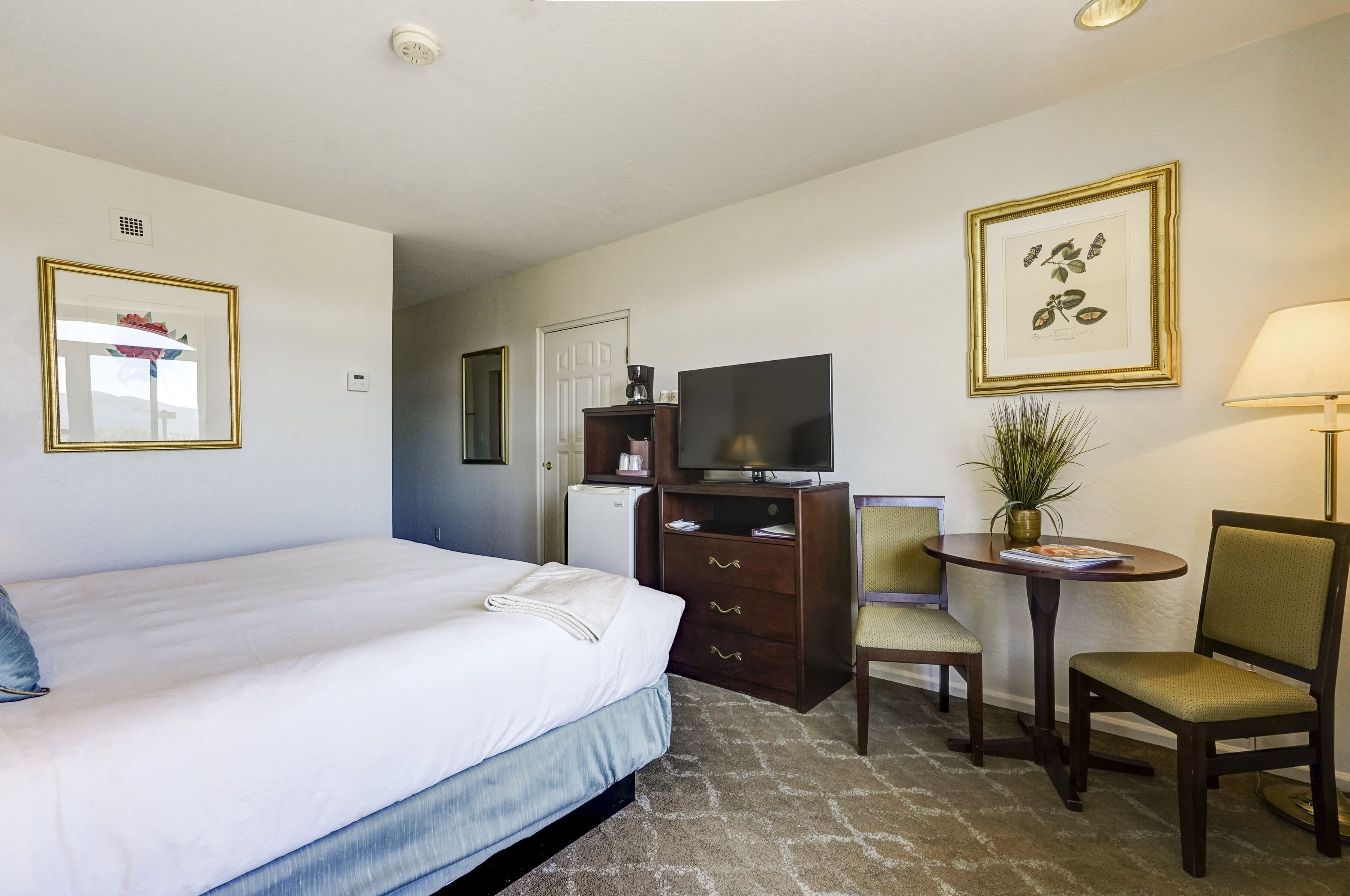 Habitación de hotel con cama, escritorio con silla, televisor, refrigerador pequeño e impresión enmarcadas con motivos botánicos en la pared.