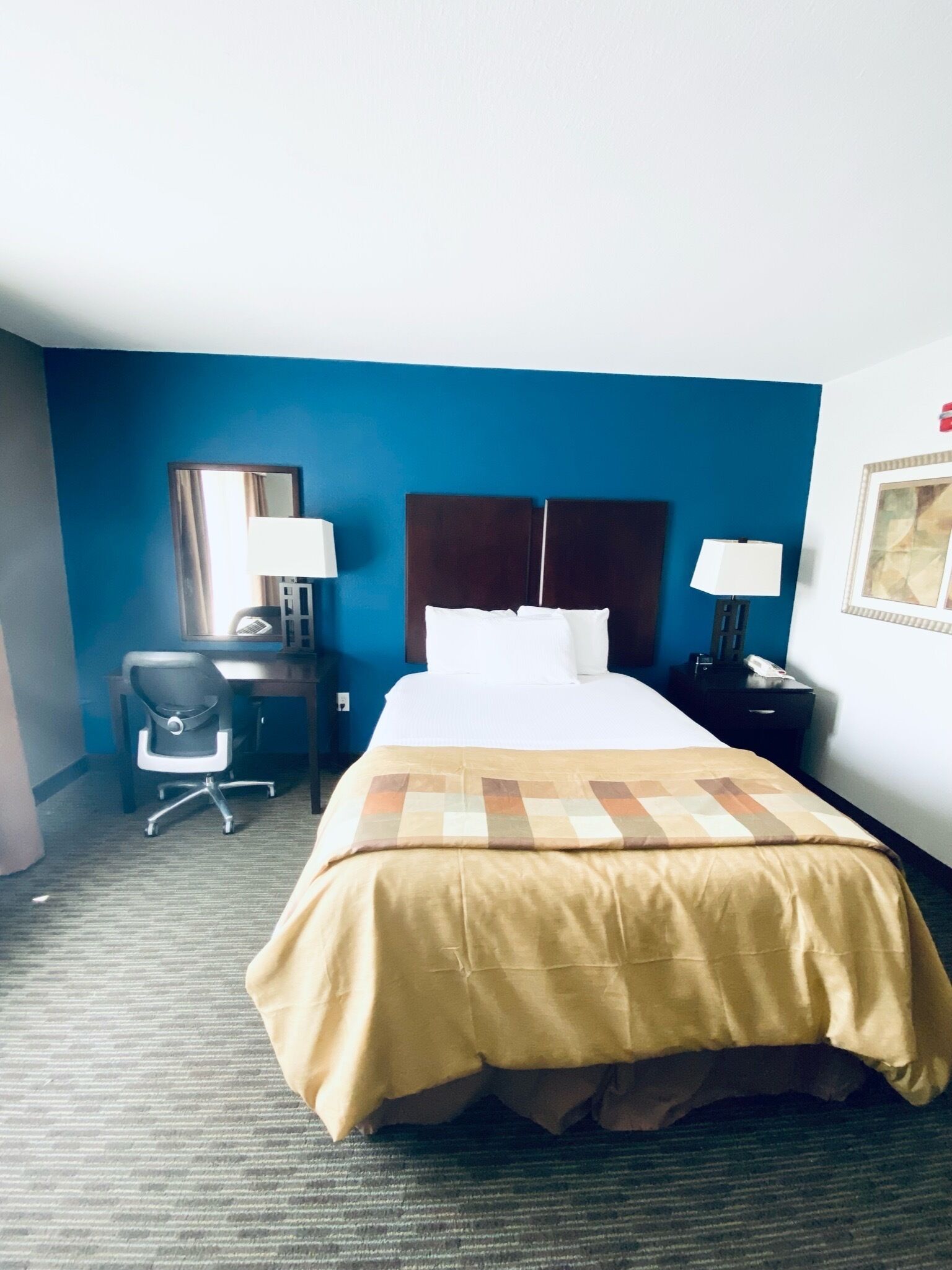 Une chambre d’hôtel avec un lit, un bureau, une chaise et une table de chevet.