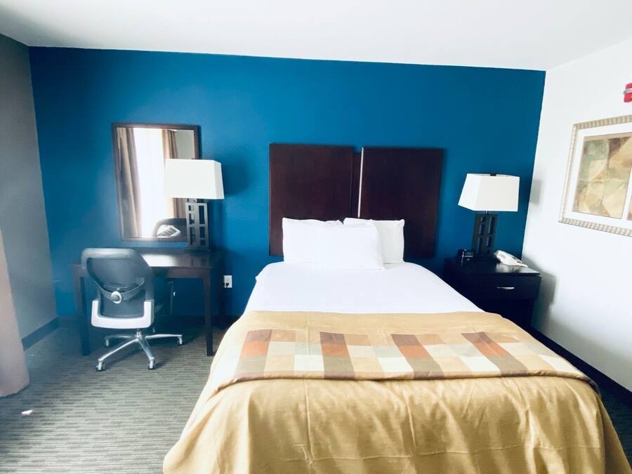 Une chambre d’hôtel avec un lit, un bureau, une chaise et une table de chevet.