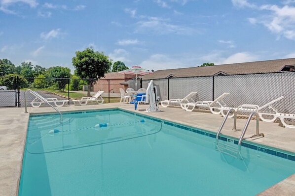 Outdoor pool, sun loungers