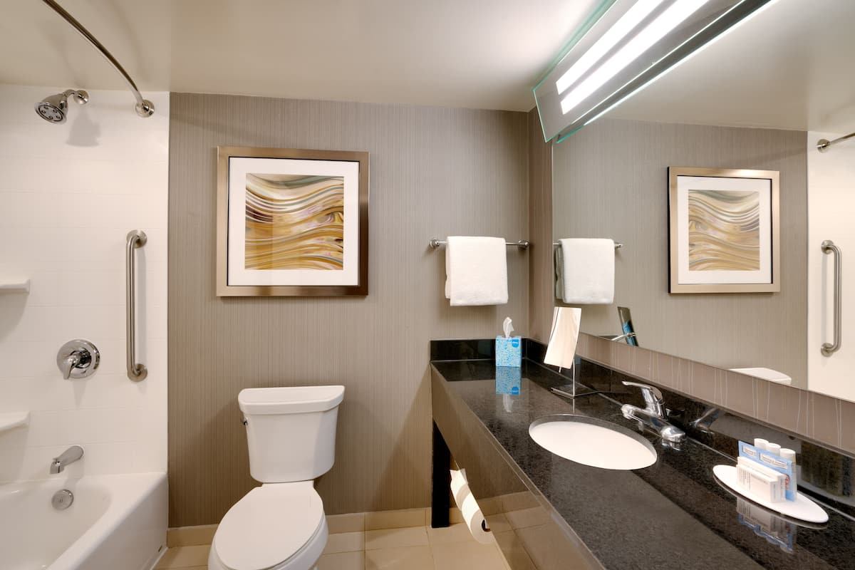 Combined shower/tub, free toiletries, hair dryer, towels