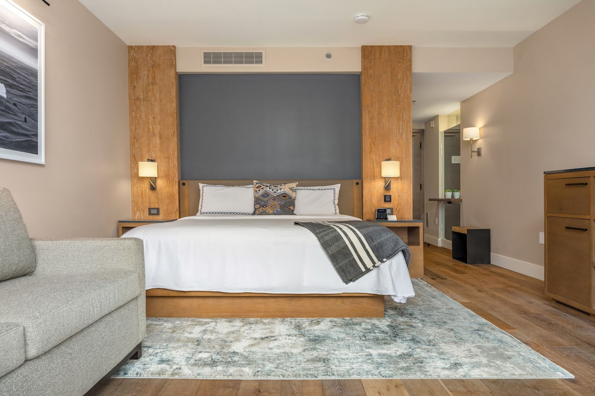 A modern bedroom with a large bed, wooden headboard, and a grey rug.