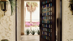 A doorway with a stained glass panel, a palm tree, and a tiled floor.