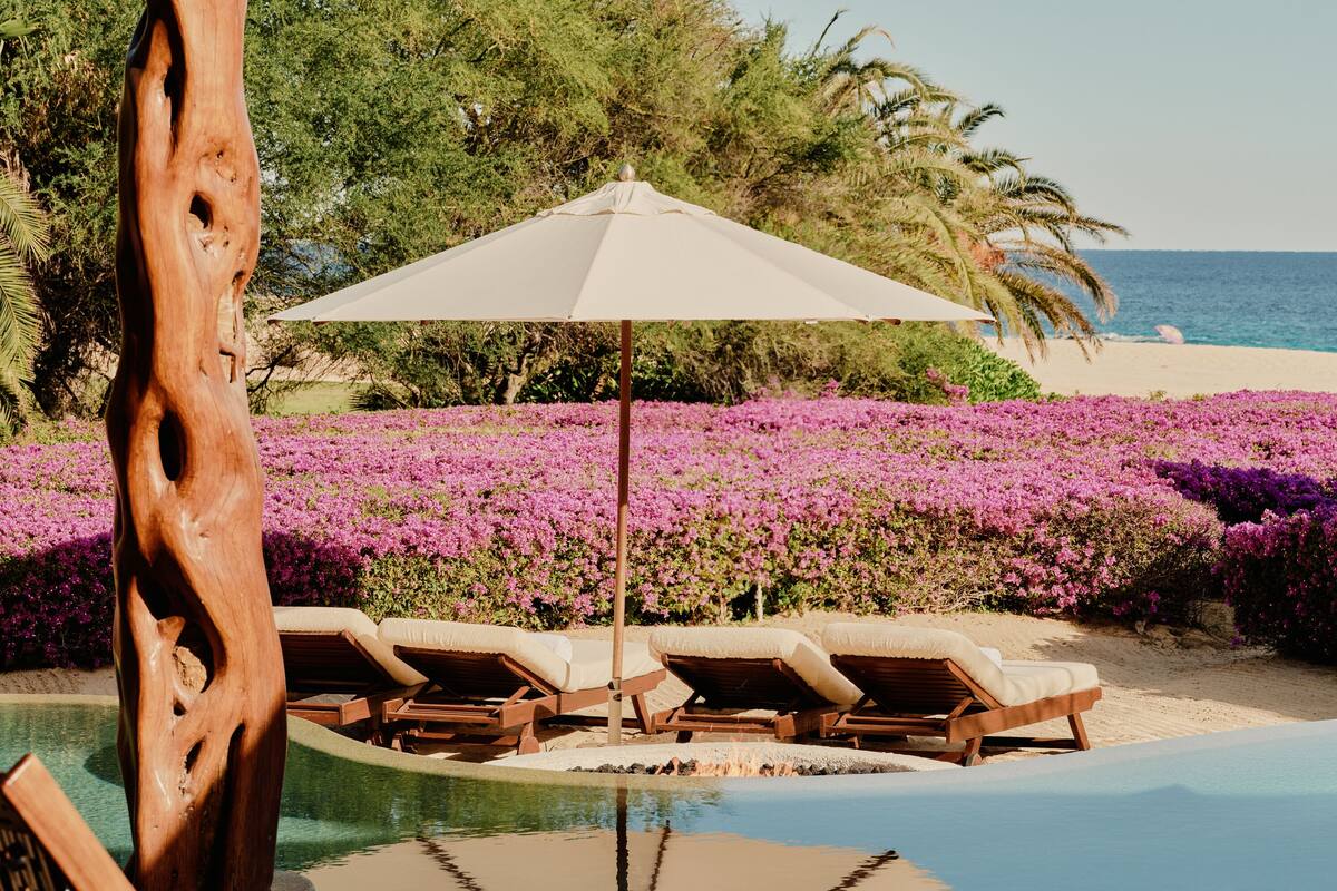 A poolside area with lounge chairs and a large umbrella, surrounded by purple flowers and palm trees.