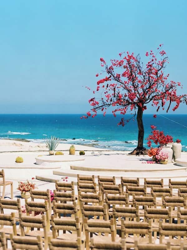 Outdoor wedding area