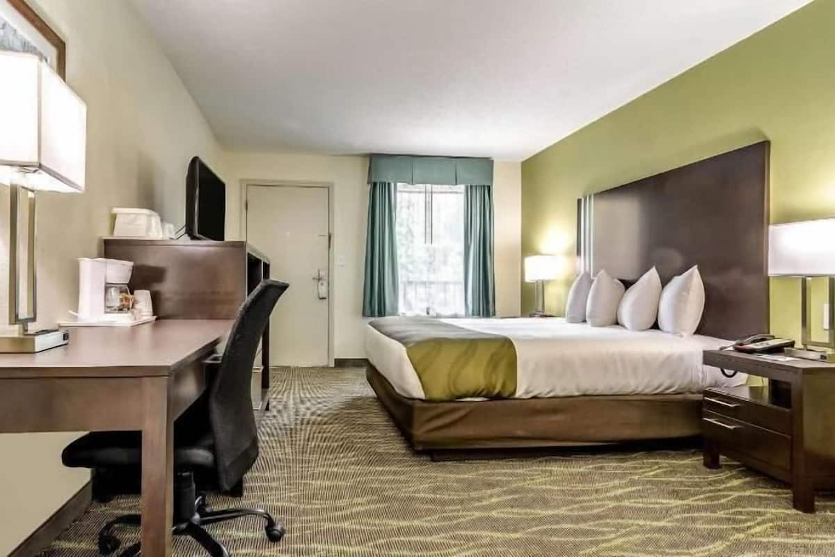Iron/ironing board, free cots/infant beds, rollaway beds, free WiFi
