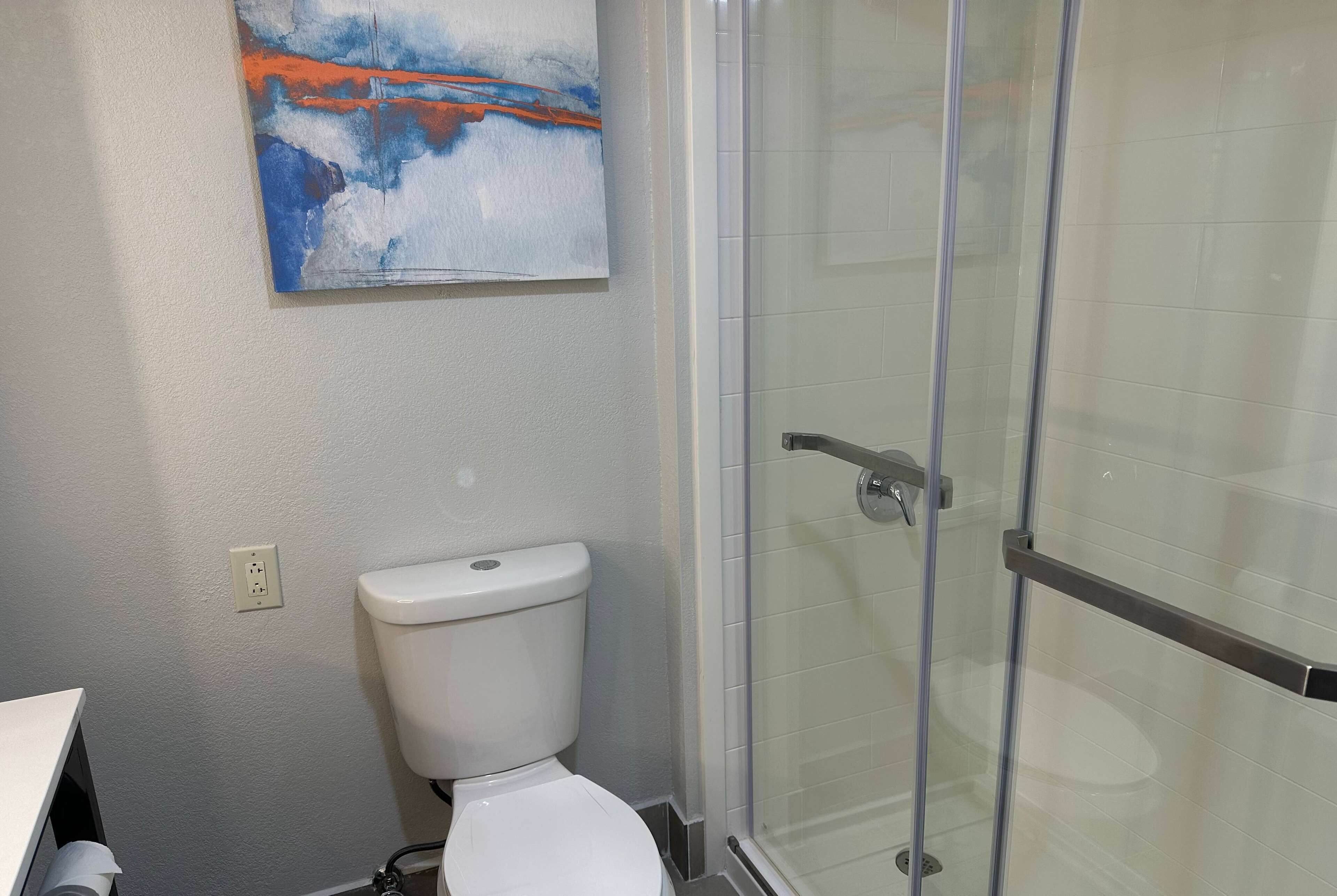 Un baño con cabina de ducha de vidrio, inodoro blanco y un cuadro en la pared.
