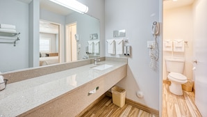Un baño con un espejo grande, un lavabo, un inodoro y un secador de pelo.