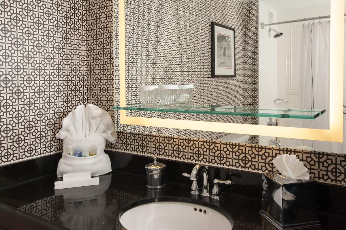 combined shower/bathtub, free toiletries, hair dryer, towels