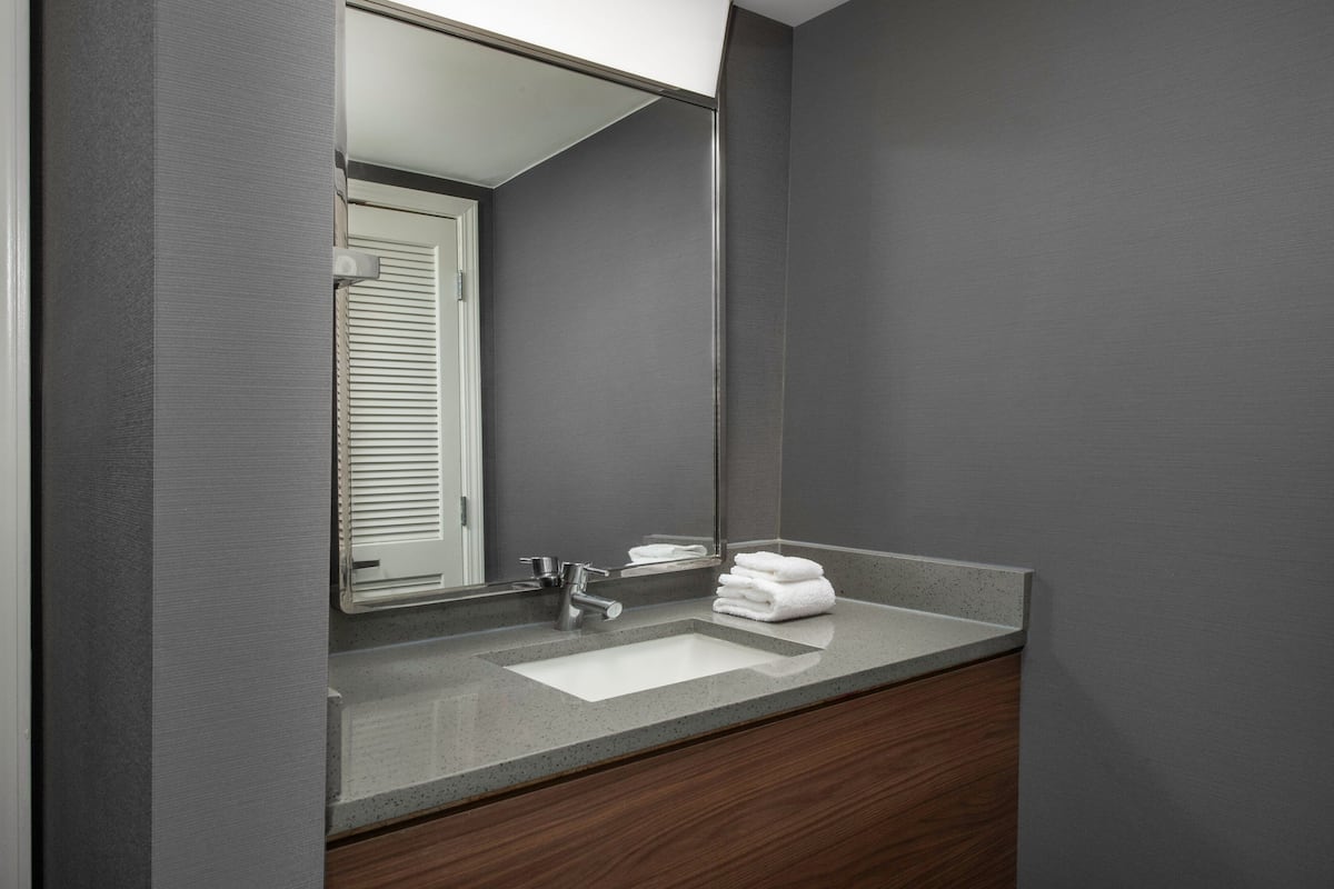 combined shower/bathtub, free toiletries, hair dryer, towels