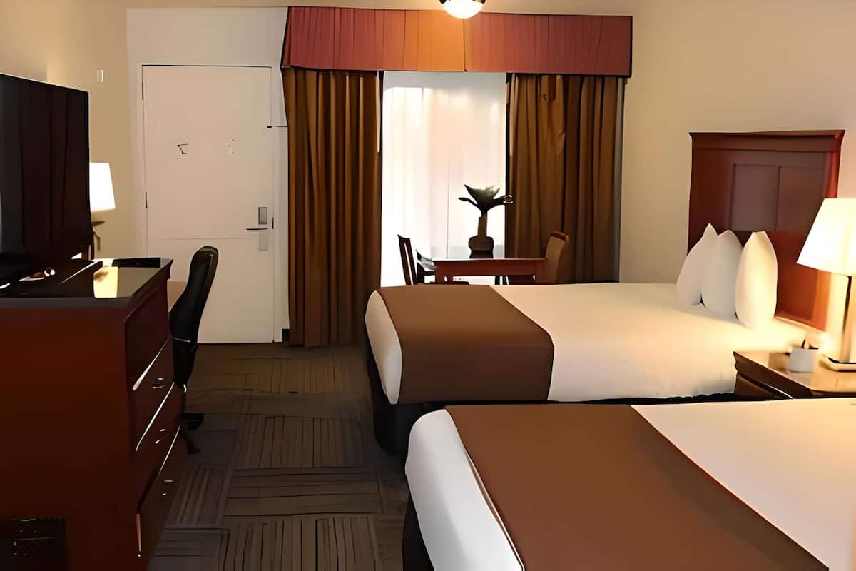 A hotel room with a bed, a desk, a chair, a TV, and a lamp.