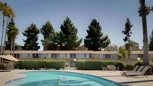 A swimming pool with lounge chairs and umbrellas, surrounded by neatly trimmed hedges and tall trees. - Rodeway Inn Santa Clara El Camino Real (Santa Clara)