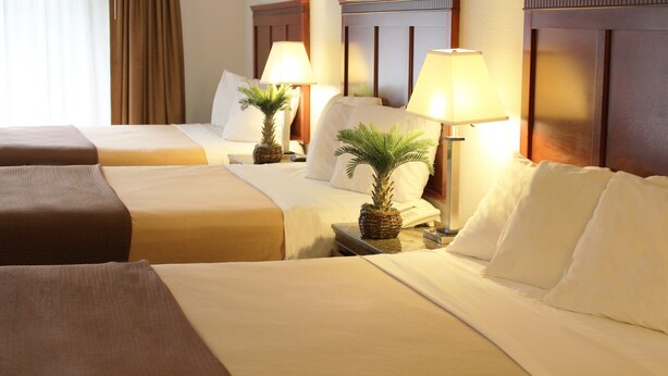 A hotel room with three beds, each with a lamp and a small plant. - Rodeway Inn Santa Clara El Camino Real (Santa Clara)