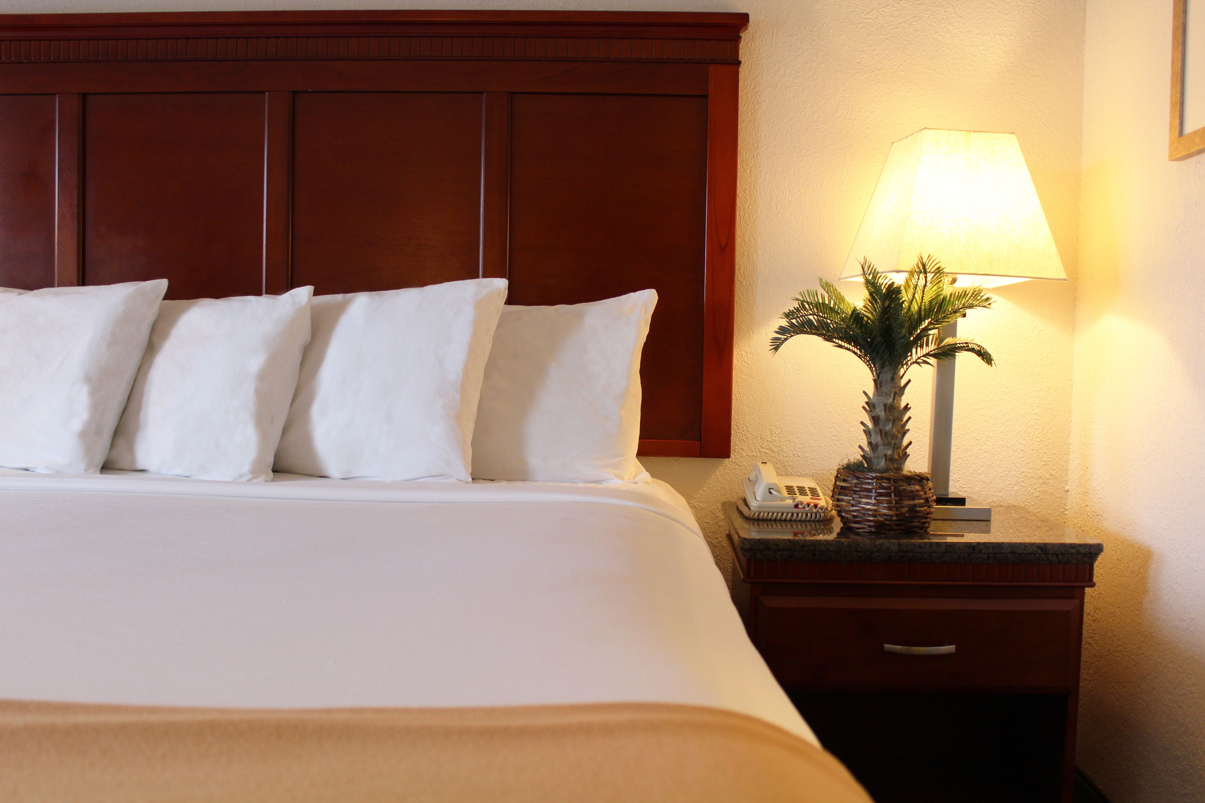 Cama bem arrumada com lençóis e almofadas brancas, cabeceira de madeira, mesa de cabeceira com luminária e uma pequena planta.