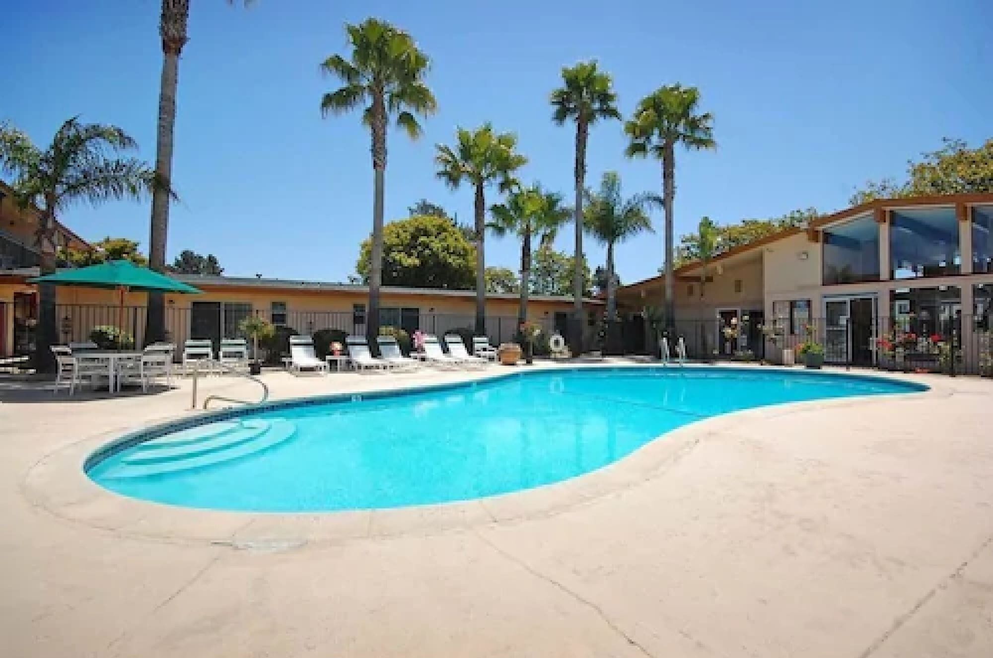 Una piscina con sillas de descanso y palmeras.