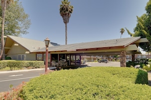 Un motel con estacionamiento techado, un jardín ajardinado y una palmera alta.