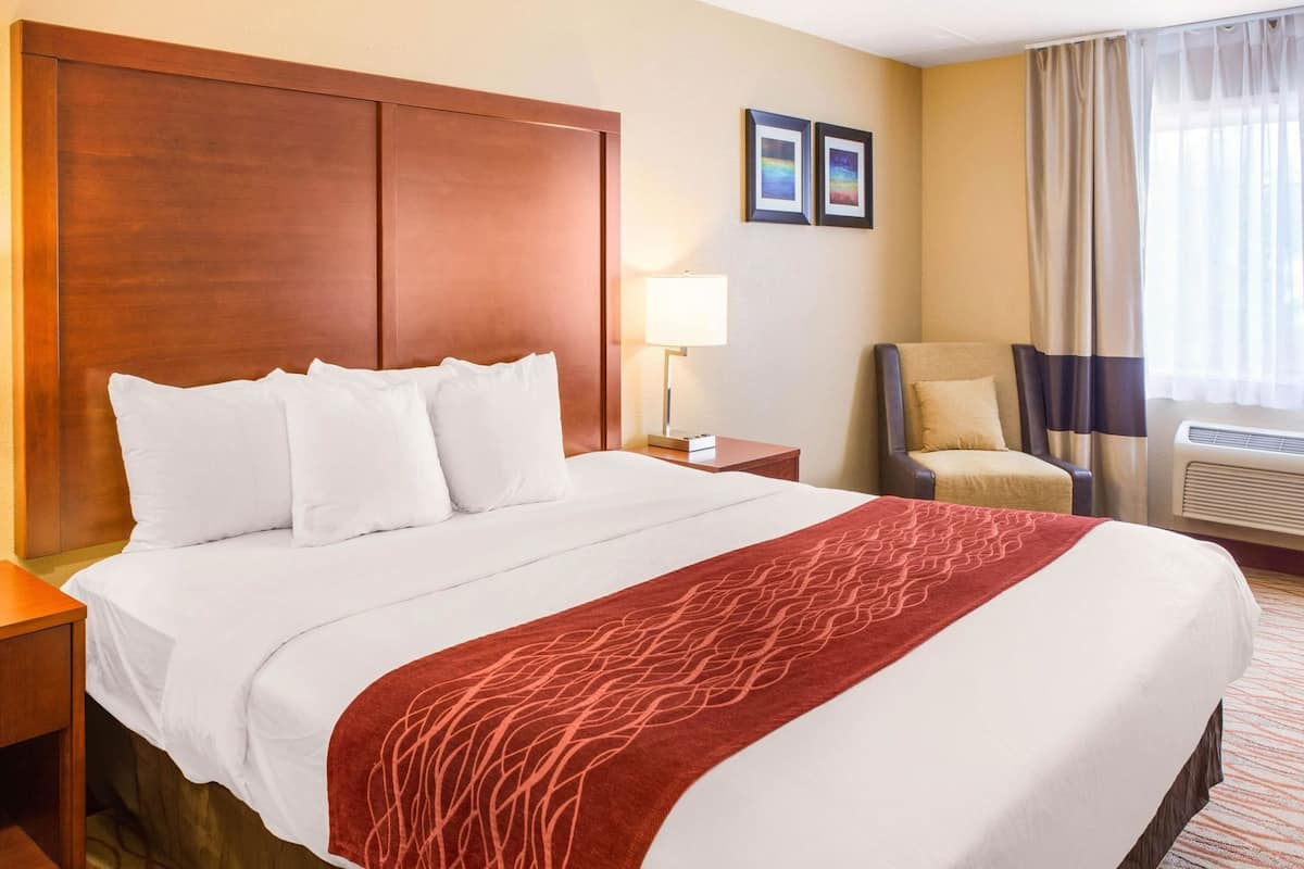 Premium bedding, soundproofing, iron/ironing board