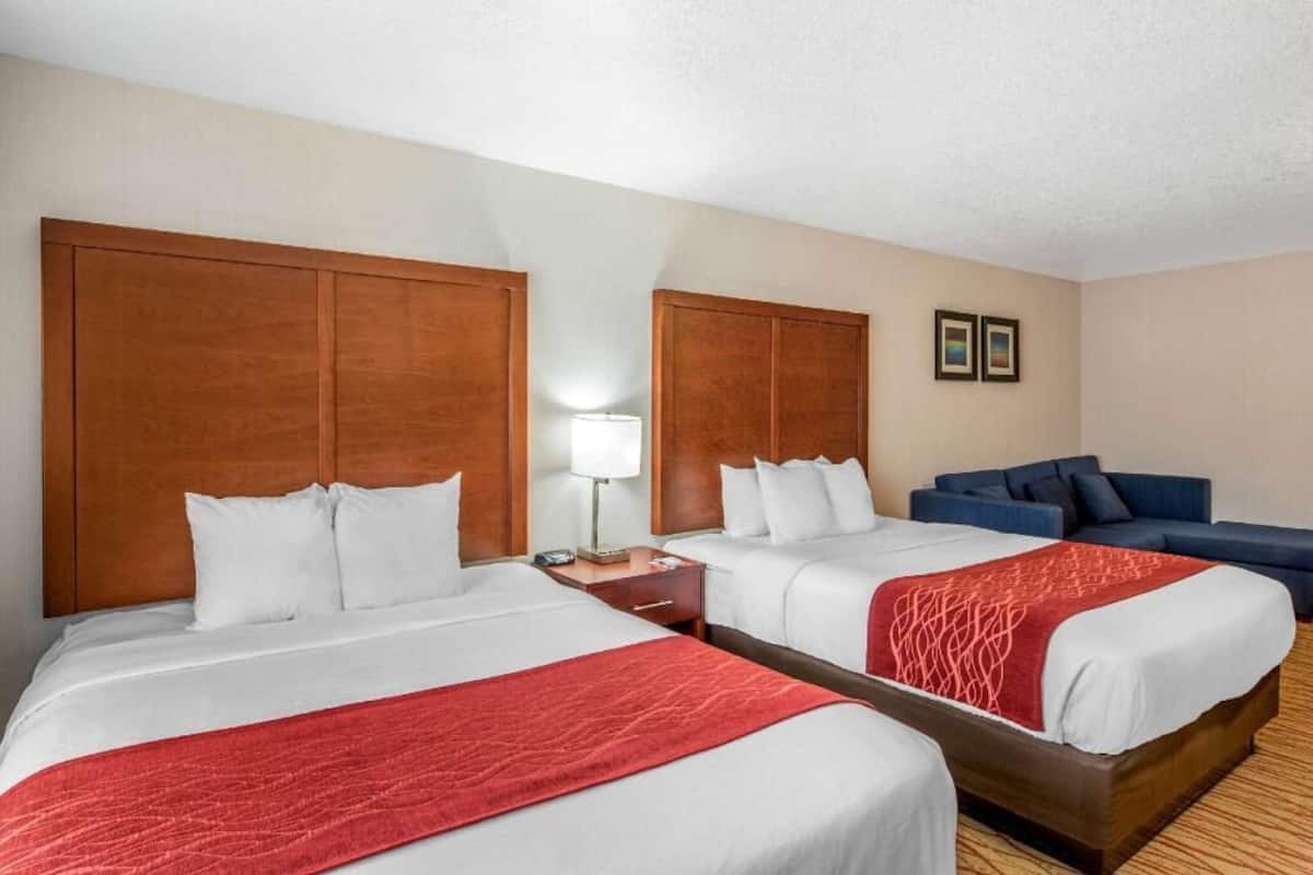 Premium bedding, soundproofing, iron/ironing board