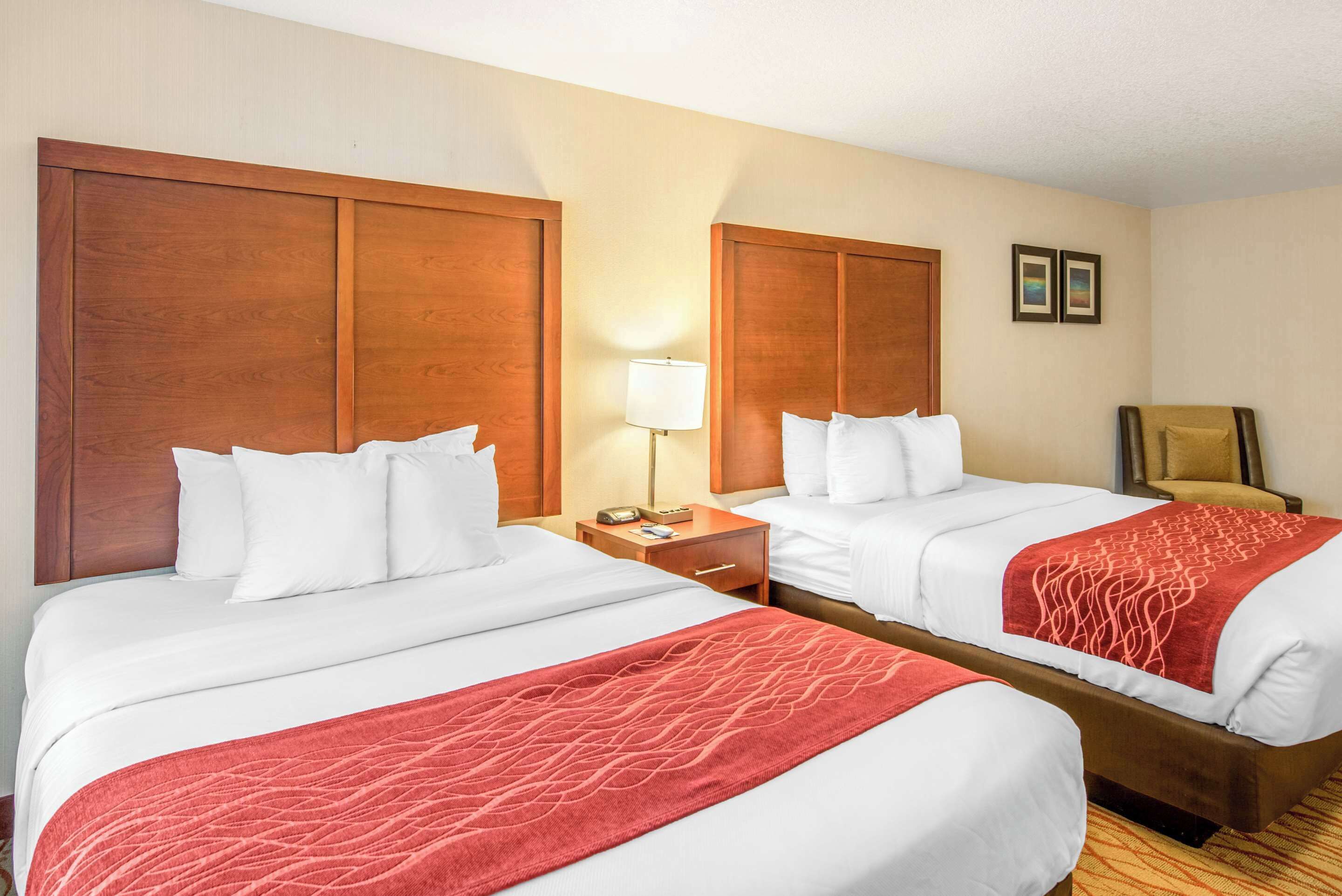 Habitación de hotel con dos camas, cabeceros de madera, ropa de cama blanca, una manta roja con estampado, una lámpara de noche, una silla y una mesita con un teléfono y un libro.