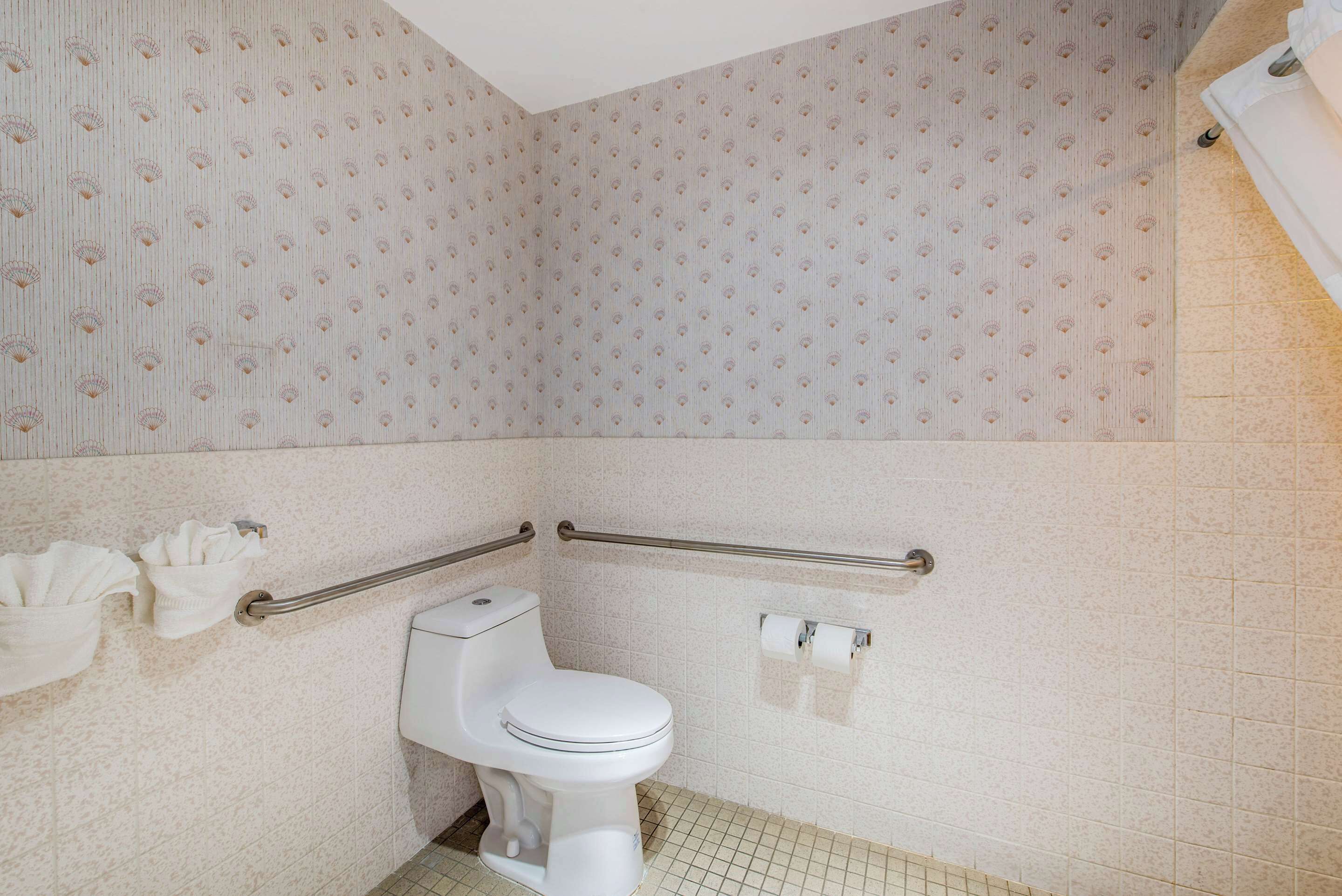 Un baño con inodoro, barras de apoyo y un perchero para toallas.