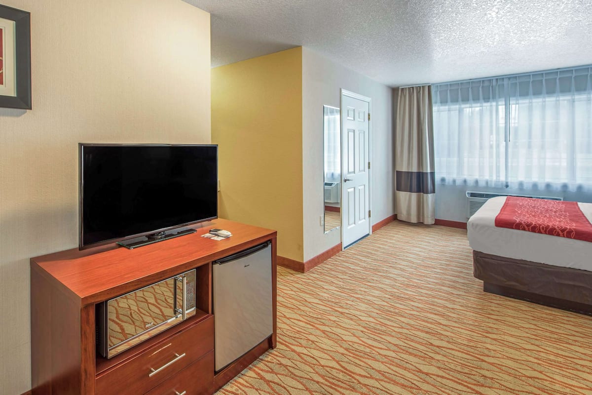 Une chambre d’hôtel équipée d’une télévision, d’un mini-réfrigérateur et d’un lit.