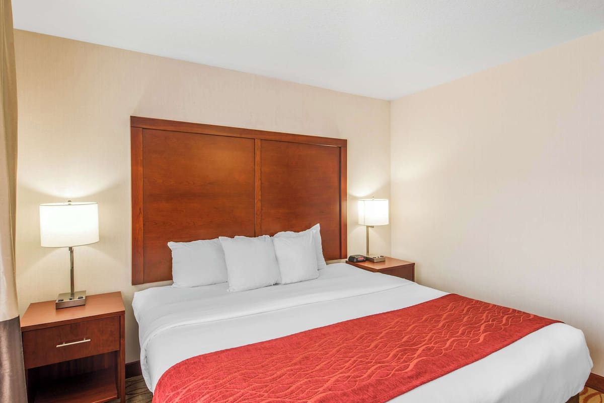 Une chambre d’hôtel avec un grand lit, une tête de lit en bois, deux tables de chevet avec des lampes et un plaid rouge.