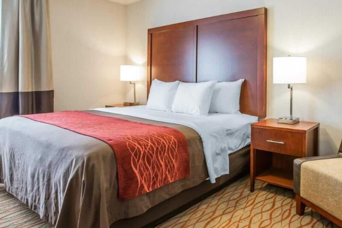 Premium bedding, soundproofing, iron/ironing board