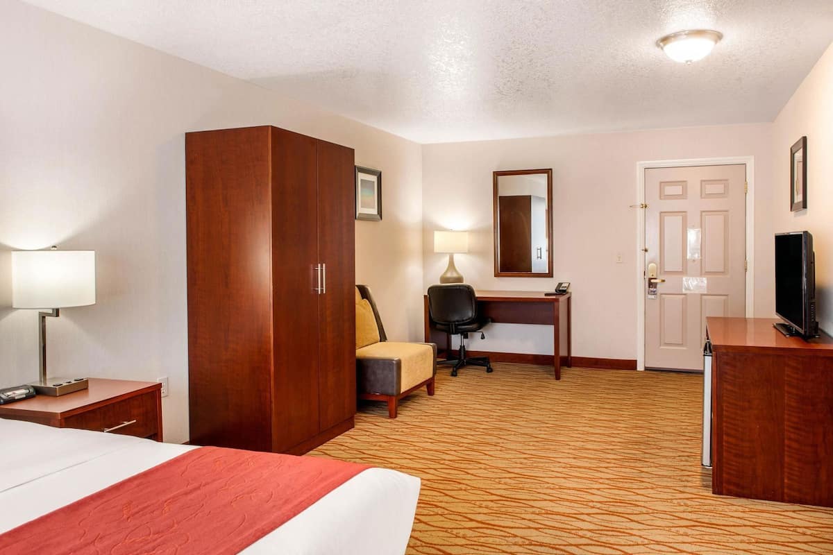 Premium bedding, soundproofing, iron/ironing board