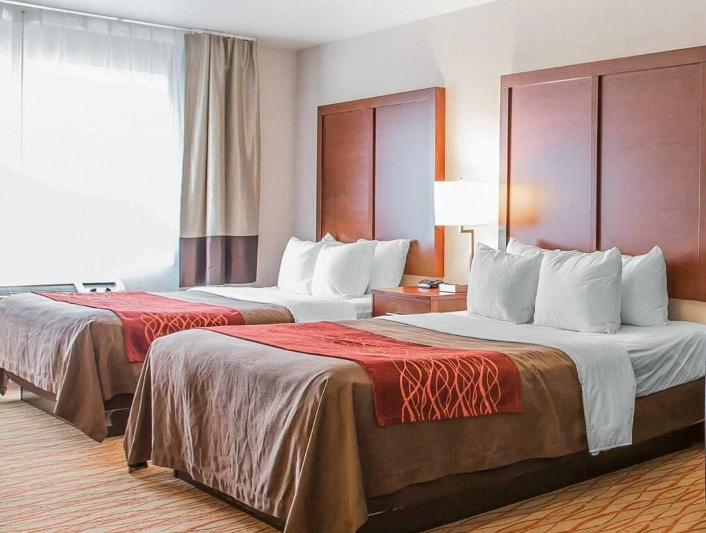 Premium bedding, soundproofing, iron/ironing board