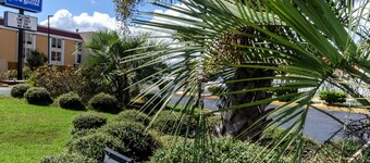 Rodeway Inn & Suites Jacksonville near Camp Lejeune