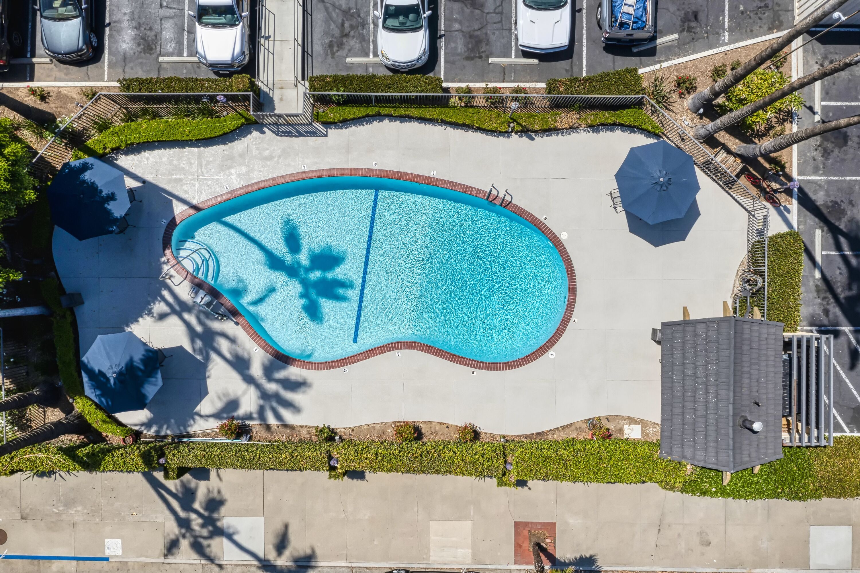 Alberca al aire libre por temporada 