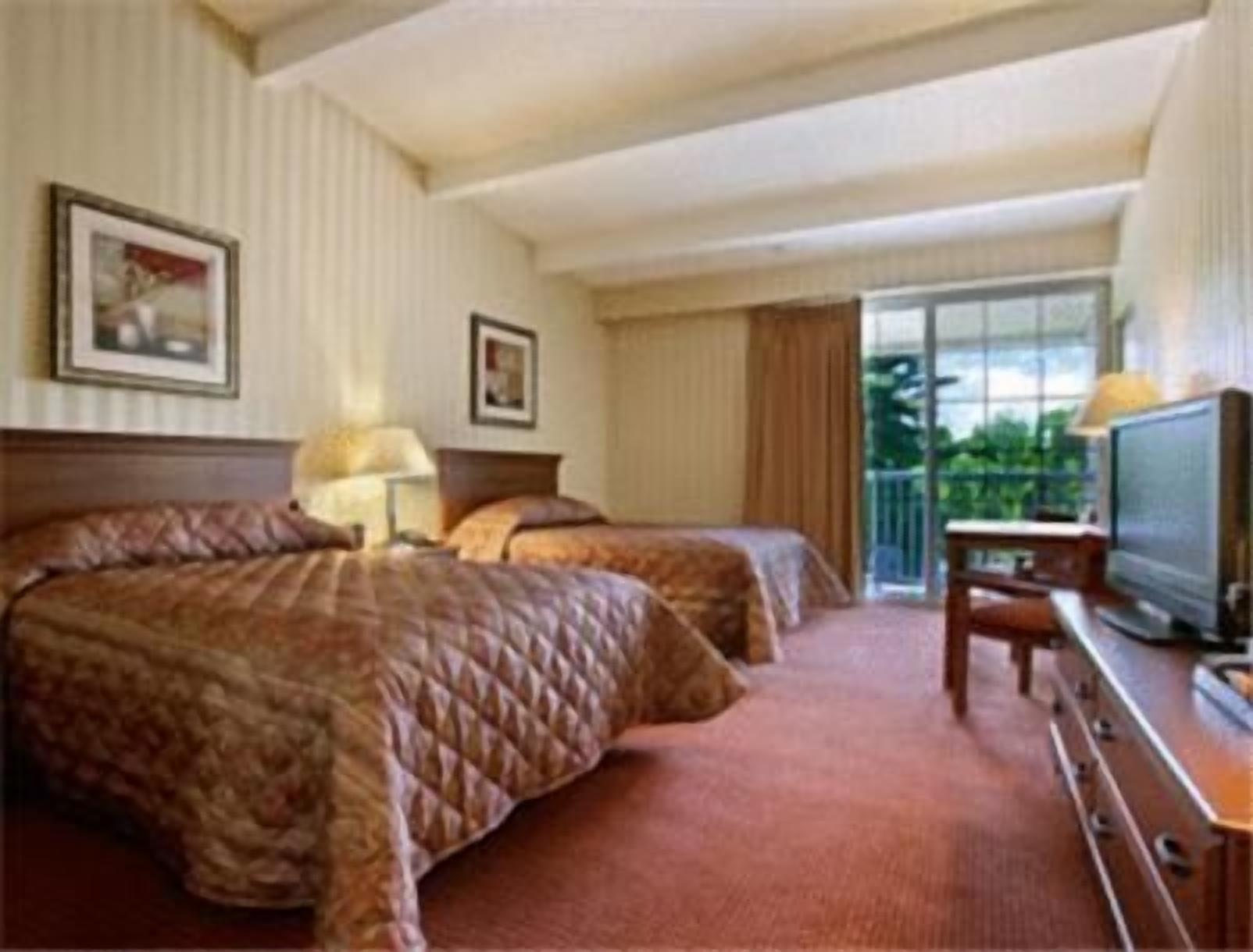 Premium bedding, desk, laptop workspace, blackout curtains