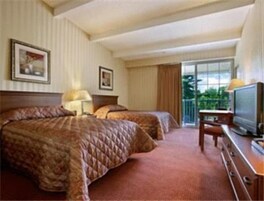 Premium bedding, desk, laptop workspace, blackout drapes