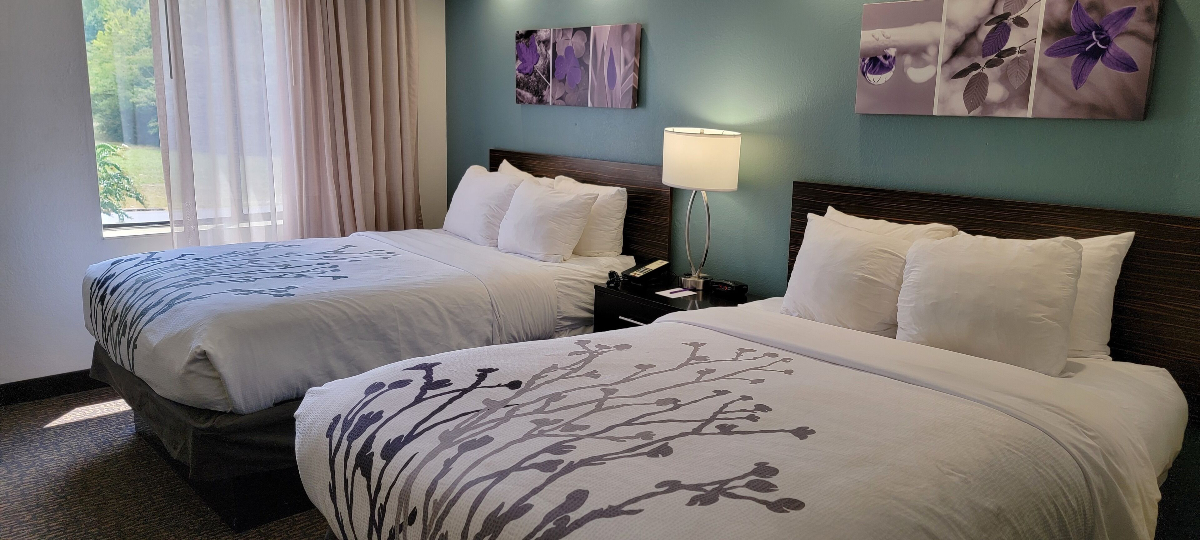 Une chambre d’hôtel avec deux lits, une table de chevet avec une lampe et des œuvres d’art accrochées aux murs.
