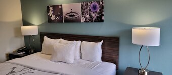 Sleep Inn Bessemer Helena