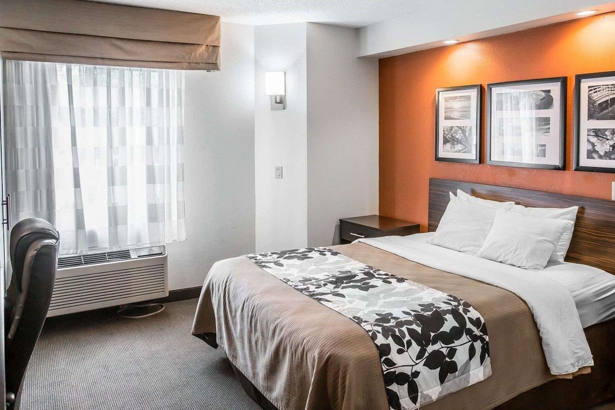 Room, 1 Queen Bed, Accessible, Non Smoking | Desk, iron/ironing board, free WiFi, bed sheets