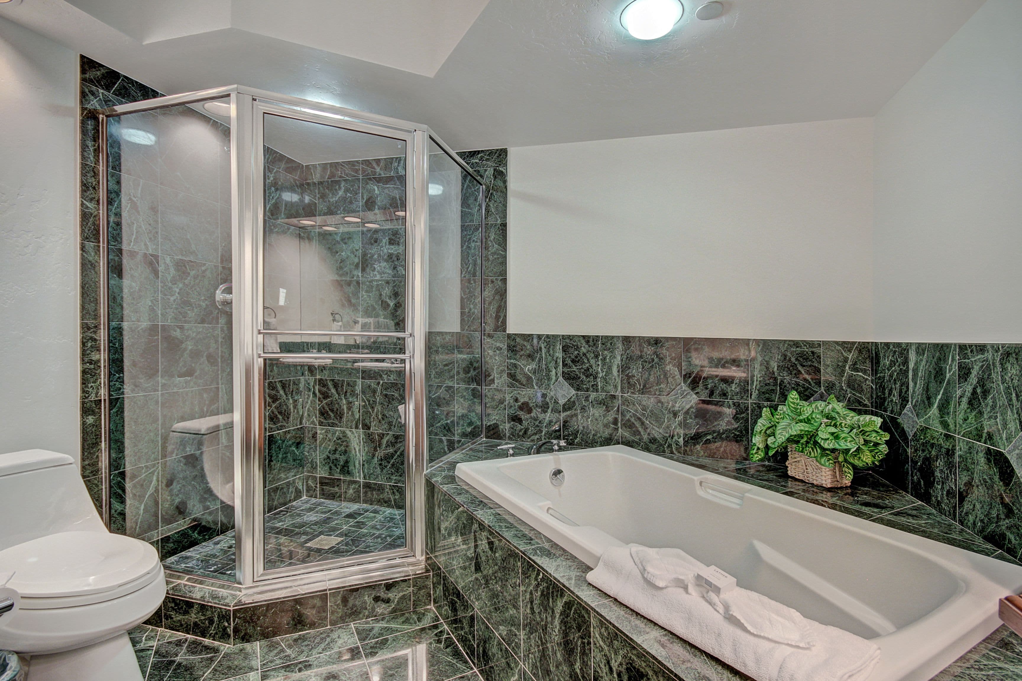 Un baño con ducha de vidrio, una bañera y un inodoro.