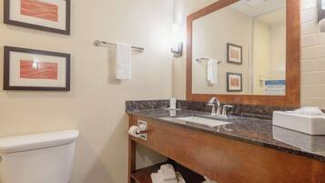 A bathroom with a white toilet, a sink with a marble countertop, and a large mirror. There are framed pictures on the wall and a towel rack.