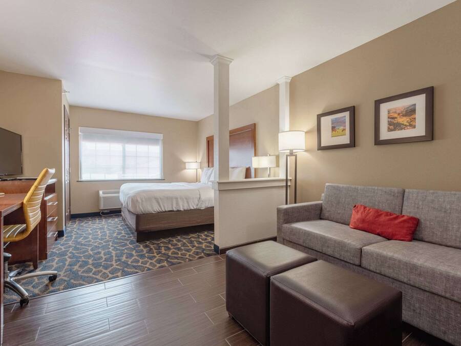 Suite, 1 trÚs grand lit et 1 canapé-lit, non-fumeur