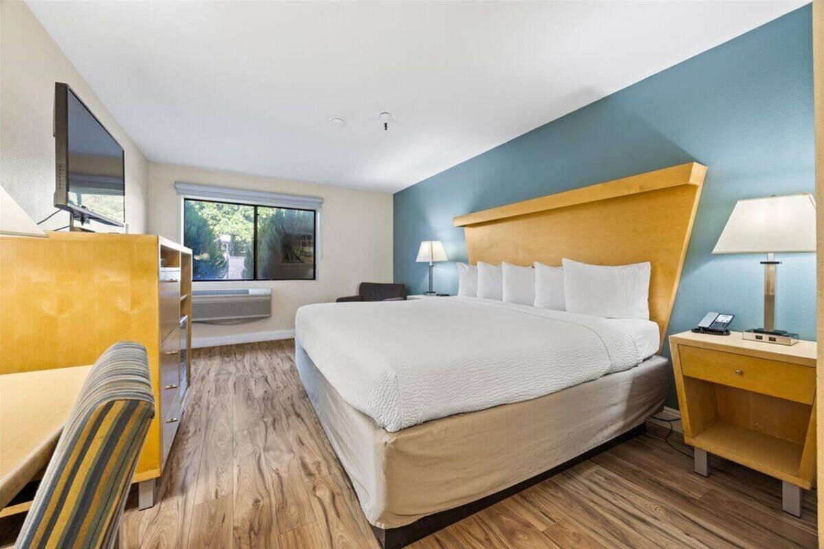 A hotel room with a large bed, a desk, a chair, a TV, and a window with a view of trees.
