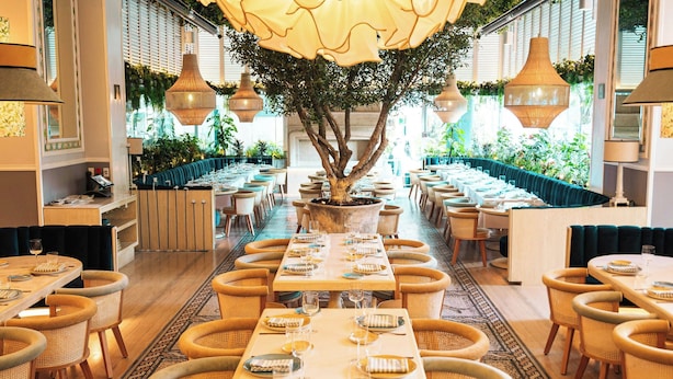 Un restaurante con una larga mesa preparada para comer, rodeado de sillas de mimbre y un árbol grande en el centro.