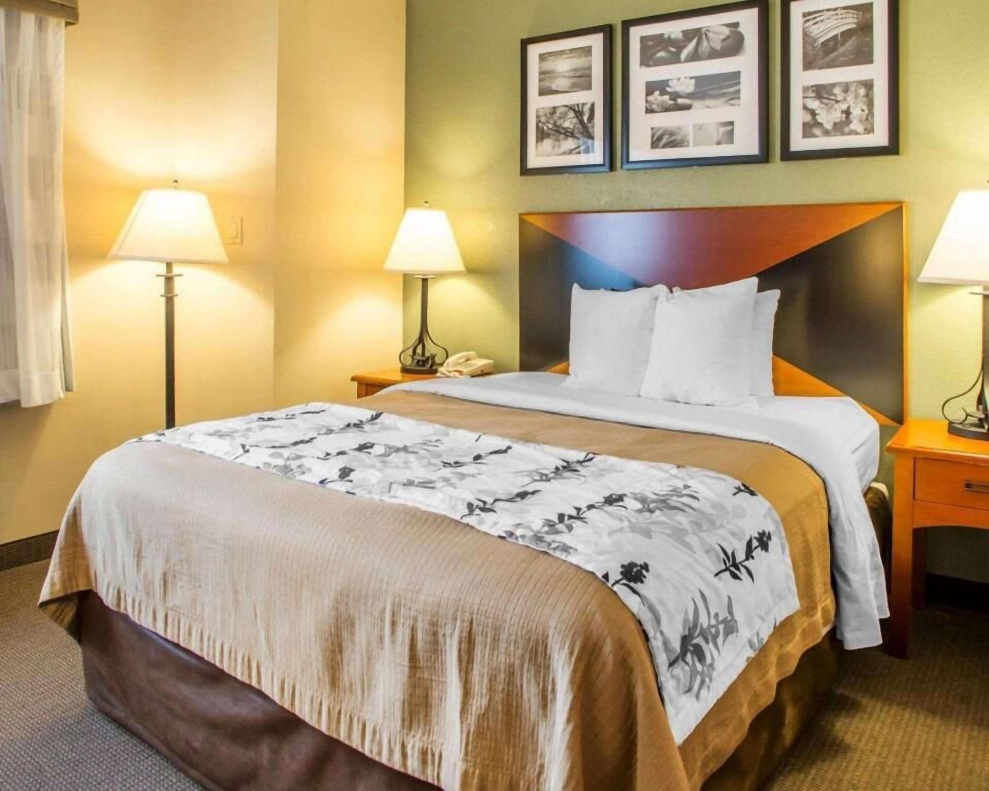 1 bedroom, premium bedding, desk, iron/ironing board