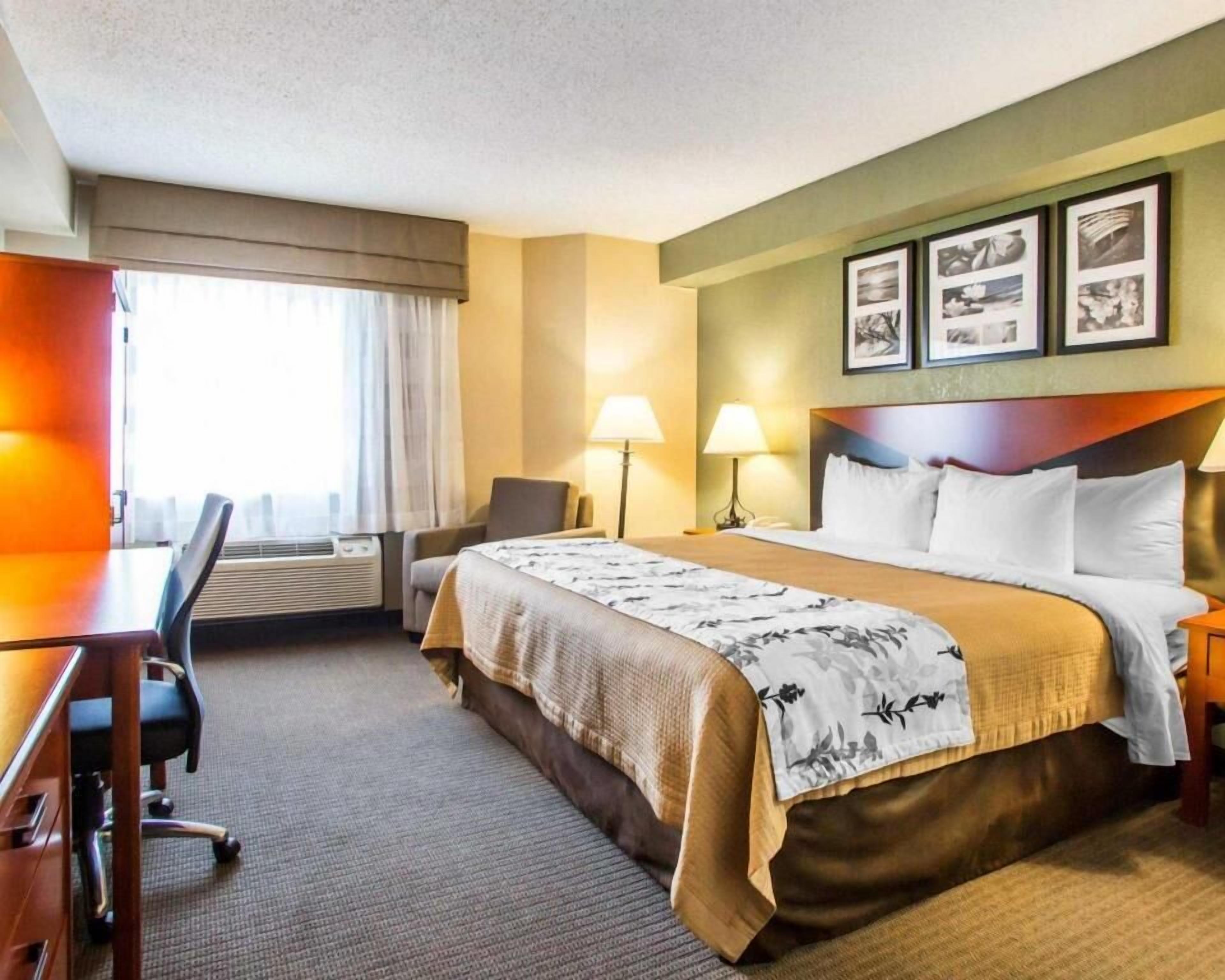 1 bedroom, premium bedding, desk, iron/ironing board