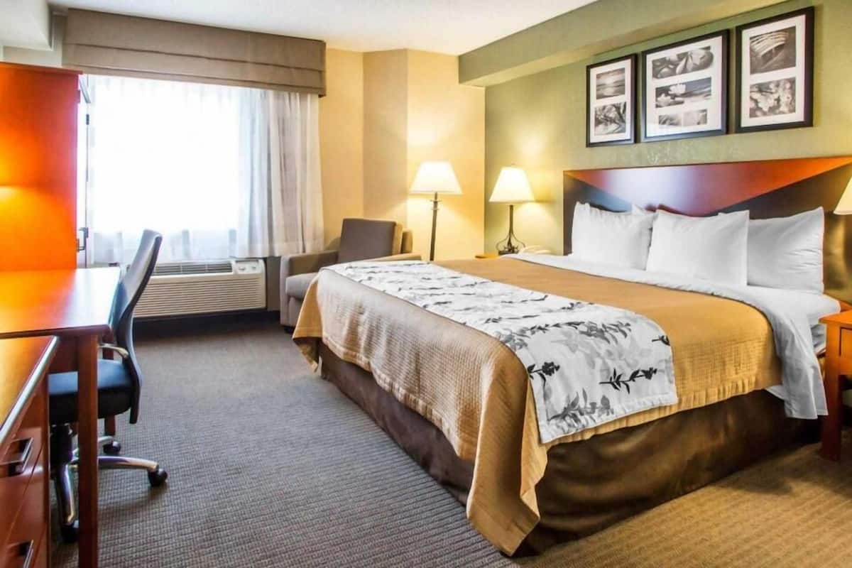 1 bedroom, premium bedding, desk, iron/ironing board