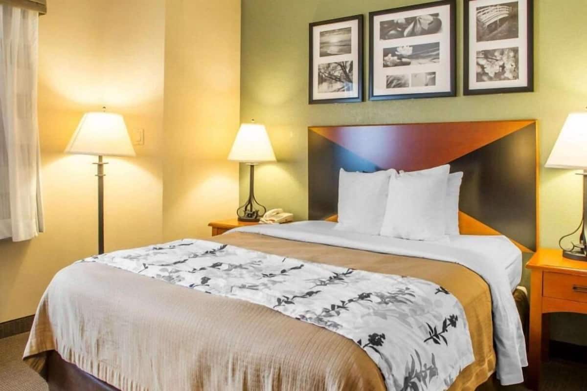 1 bedroom, premium bedding, desk, iron/ironing board