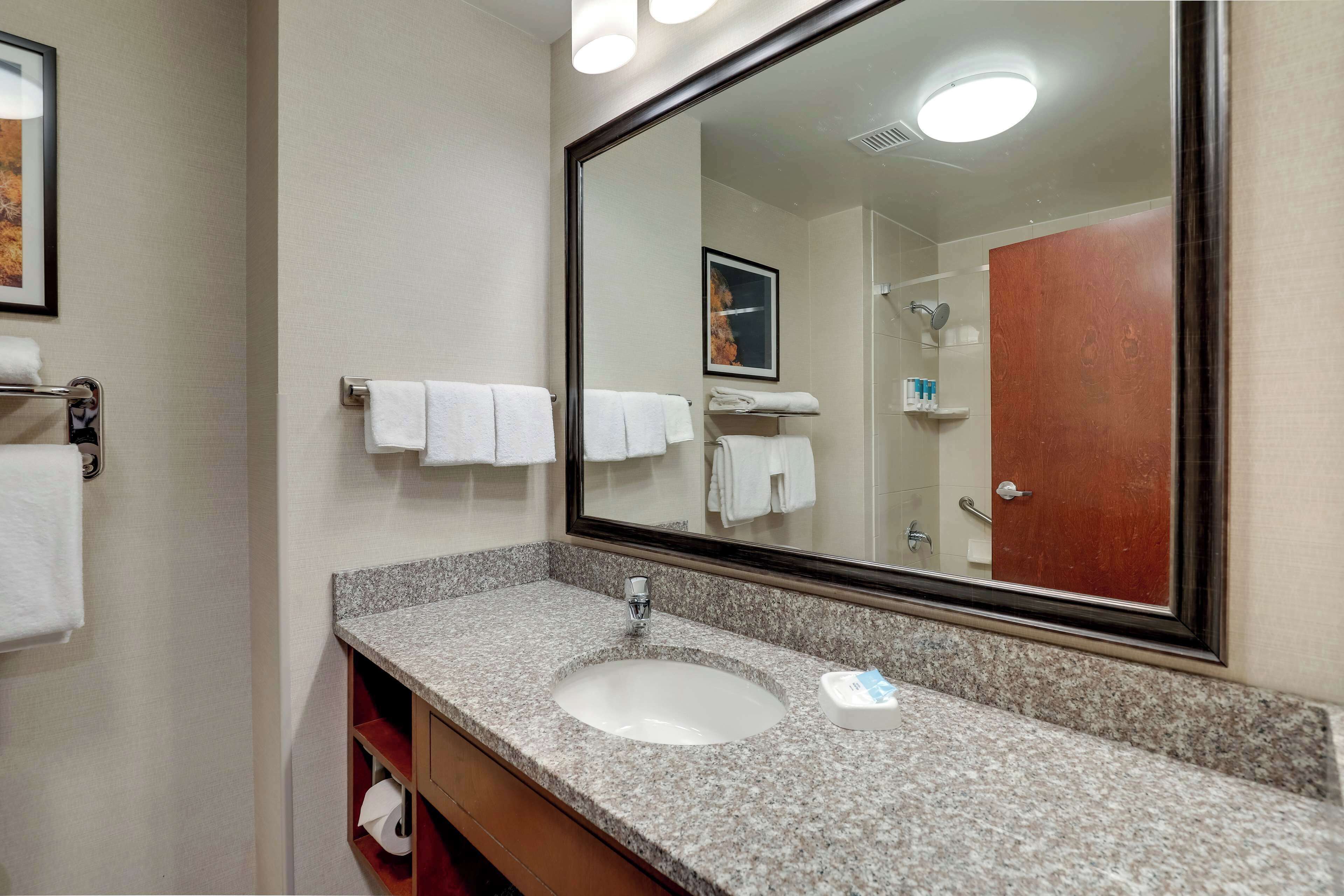 combined shower/bathtub, free toiletries, hair dryer, towels