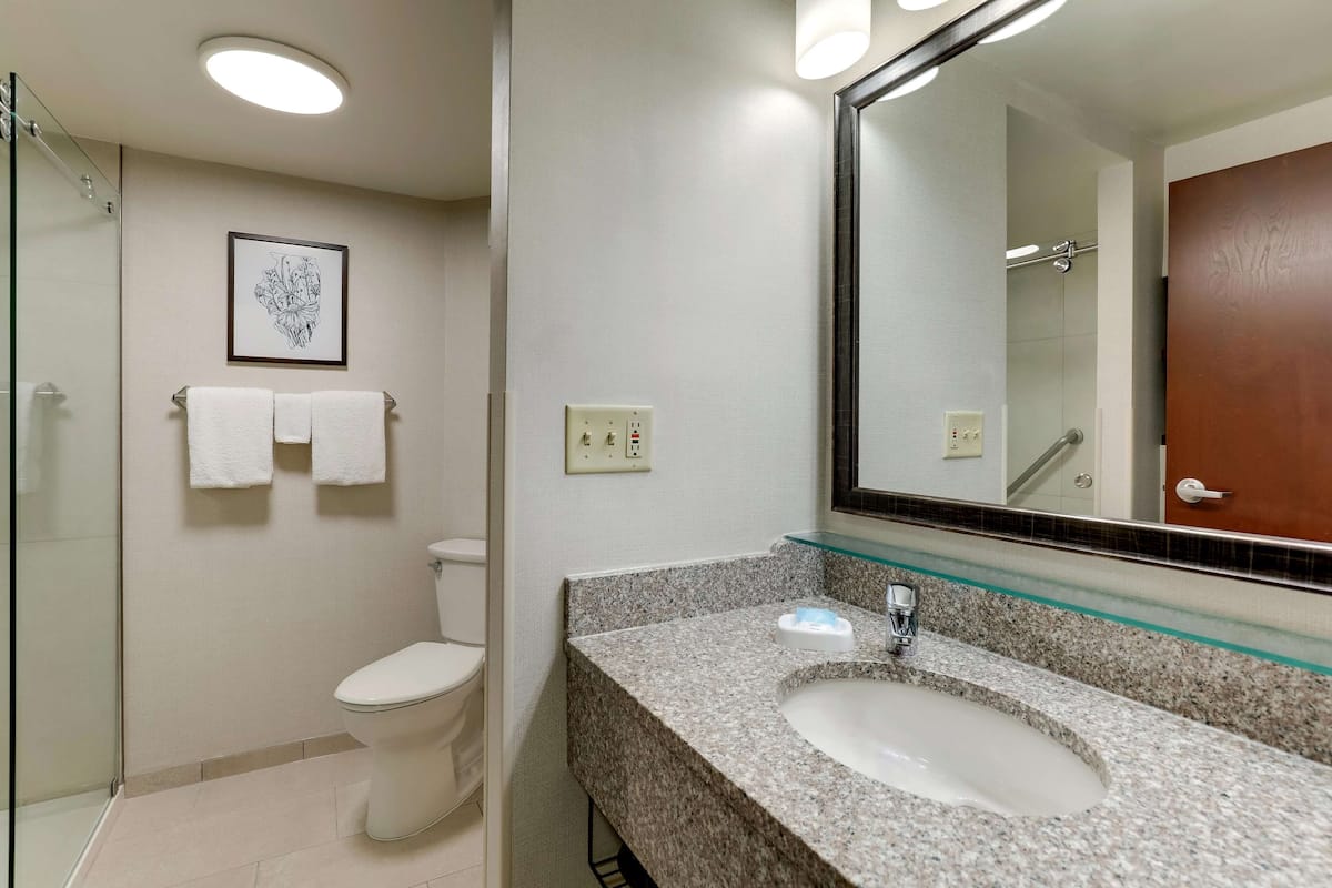 combined shower/bathtub, free toiletries, hair dryer, towels