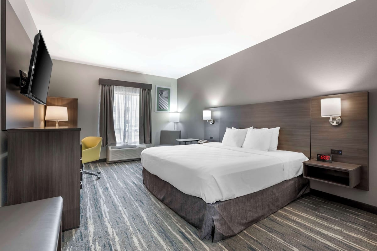 A hotel room with a large bed, a desk, a chair, a TV, and a nightstand with a lamp.