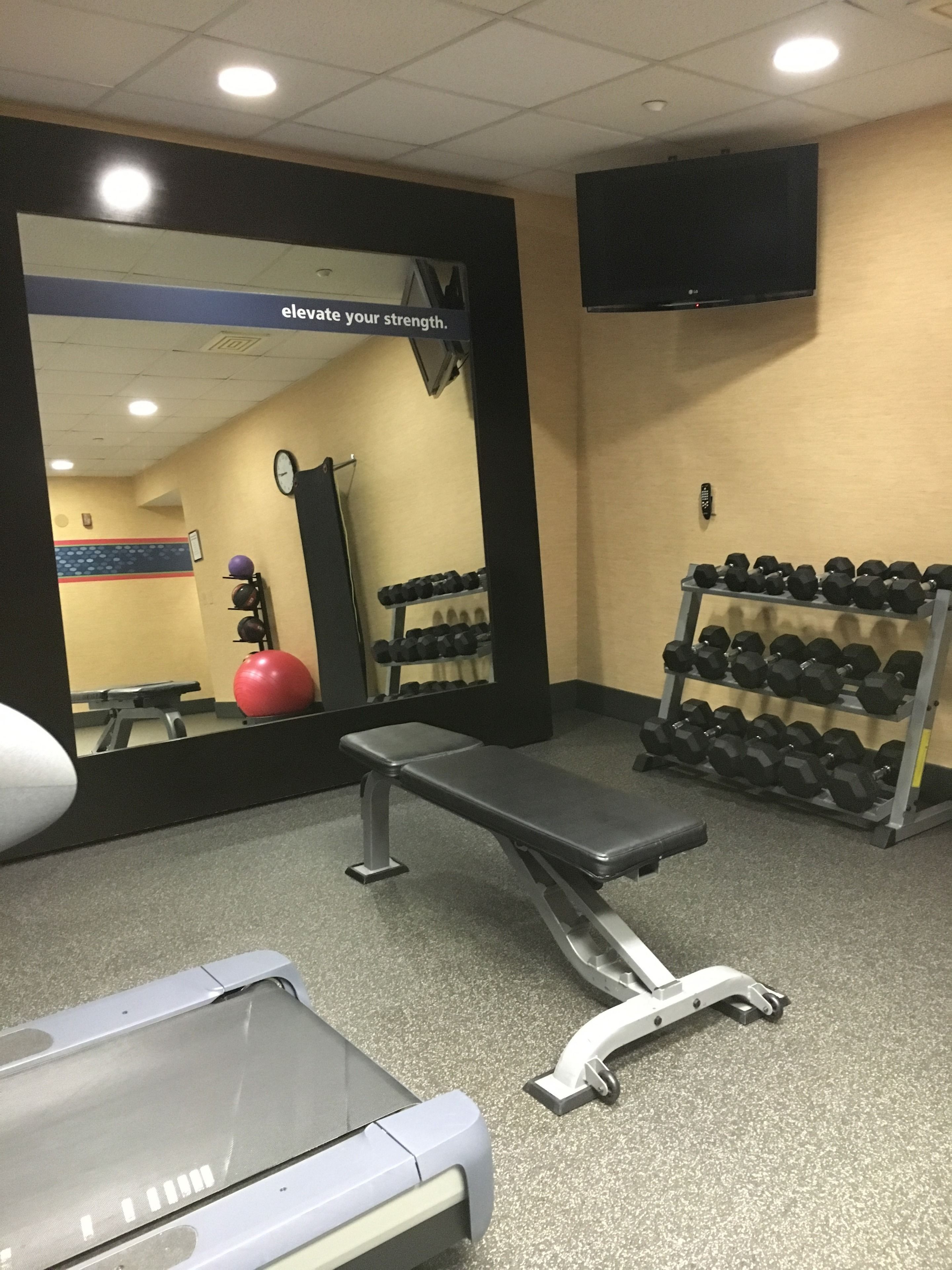 A gym with a bench, treadmill, and weight racks.