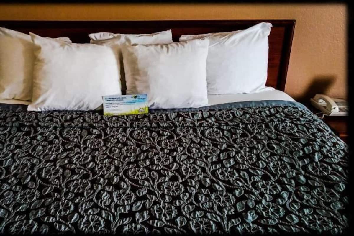 Premium bedding, in-room safe, desk, iron/ironing board